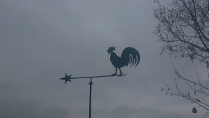 Le coq