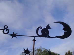 Le chat et la lune