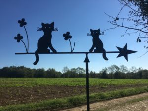 Les-Chats-aux-trefles-1-300x225