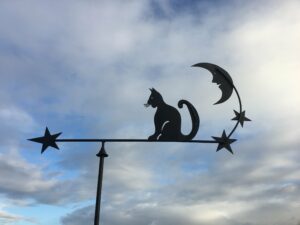 Chat-clair-de-lune-et-etoiles-min-300x225